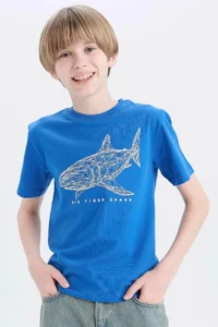 DeFacto Mavi Boys' T-Shirt E0431A8/BE439