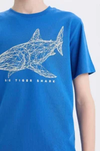 DeFacto Mavi Boys' T-Shirt E0431A8/BE439 - Image 3