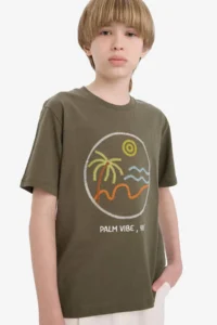 DeFacto Crew Neck Embroidered Short Sleeve T-Shirt Boy