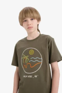 DeFacto Crew Neck Embroidered Short Sleeve T-Shirt Boy - Image 4