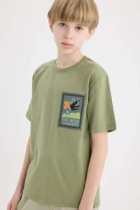 DeFacto Crew Neck Embroidered Short Sleeve T-Shirt Boy - Image 4