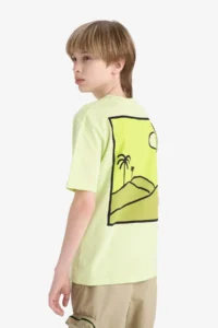 DeFacto Crew Neck Back Printed Short Sleeve T-Shirt Boy