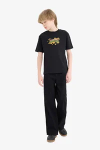 DeFacto Teenage Mutant Ninja Turtles Crew Neck Short Sleeve T-Shirt Boy - Image 3