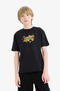DeFacto Teenage Mutant Ninja Turtles Crew Neck Short Sleeve T-Shirt Boy - Image 4