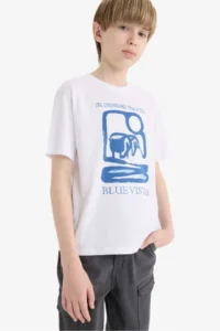 DeFacto Crew Neck Printed Short Sleeve T-Shirt Boy - Image 3