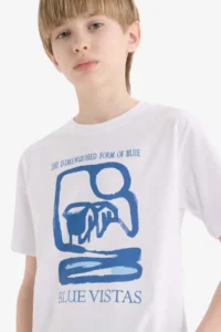 DeFacto Crew Neck Printed Short Sleeve T-Shirt Boy - Image 4