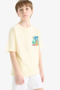 DeFacto Crew Neck Printed Short Sleeve T-Shirt Boy - Image 4