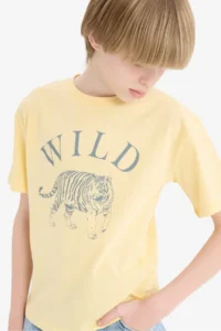 DeFacto Crew Neck Printed Short Sleeve T-Shirt Boy