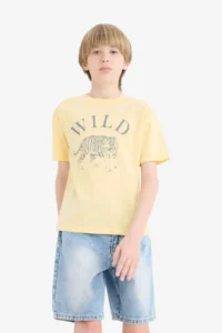 DeFacto Crew Neck Printed Short Sleeve T-Shirt Boy - Image 4