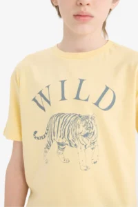 DeFacto Crew Neck Printed Short Sleeve T-Shirt Boy - Image 5