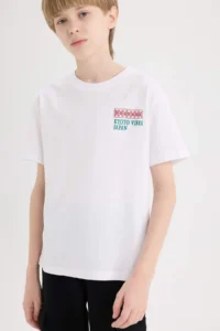 DeFacto Crew Neck Back Printed Short Sleeve T-Shirt Boy - Image 5