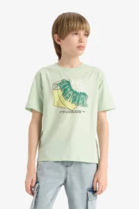 DeFacto Crew Neck Printed Short Sleeve T-Shirt Boy - Image 4