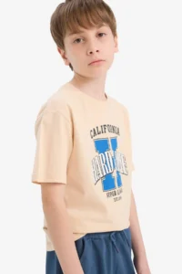 DeFacto Crew Neck Printed Short Sleeve T-Shirt Boy - Image 4