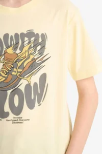 DeFacto Crew Neck Printed Short Sleeve T-Shirt Boy - Image 5