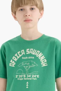 DeFacto Short Sleeve T-Shirt (25 HS) - Image 4