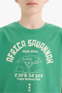 DeFacto Short Sleeve T-Shirt (25 HS) - Image 5
