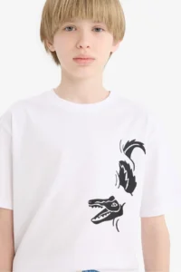 DeFacto Crew Neck Printed Short Sleeve T-Shirt Boy - Image 4