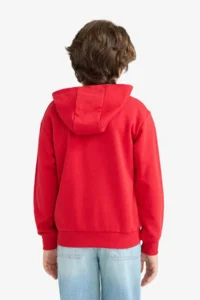 DeFacto Hooded Printed Sweatshirt Boy - Image 5