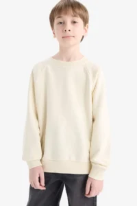 DeFacto Crew Neck Basic Plain School Sweatshirt Boy - Image 3
