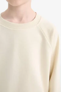 DeFacto Crew Neck Basic Plain School Sweatshirt Boy - Image 5