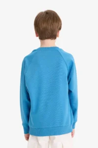 DeFacto Crew Neck Basic Plain School Sweatshirt Boy - Image 6