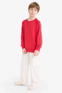 DeFacto Crew Neck Basic Plain School Sweatshirt Boy - Image 2