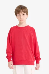 DeFacto Crew Neck Basic Plain School Sweatshirt Boy - Image 3