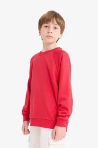 DeFacto Crew Neck Basic Plain School Sweatshirt Boy - Image 4