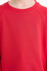 DeFacto Crew Neck Basic Plain School Sweatshirt Boy - Image 5