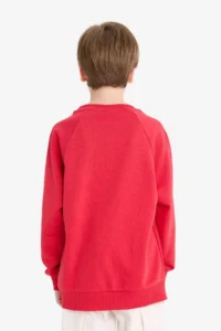 DeFacto Crew Neck Basic Plain School Sweatshirt Boy - Image 6