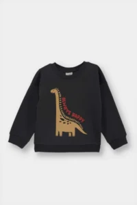 DeFacto Baby Boy Crew Neck Dinosaur Printed Soft Fuzzy Sweatshirt (25 AU)