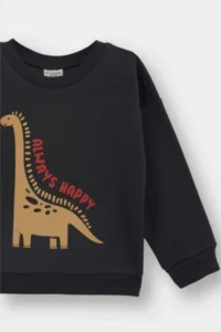 DeFacto Baby Boy Crew Neck Dinosaur Printed Soft Fuzzy Sweatshirt (25 AU) - Image 2