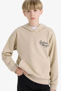 DeFacto Printed Hooded Soft Fuzzy Stone Boy Sweatshirt E9582A8/BG737