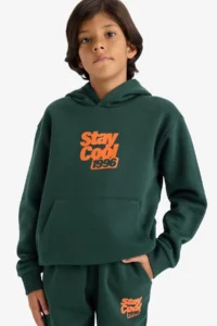 DeFacto Hooded Printed Soft Lined Sweatshirt Boy