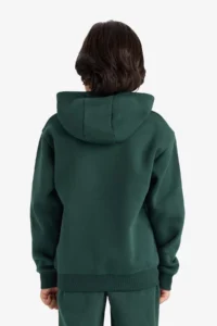 DeFacto Hooded Printed Soft Lined Sweatshirt Boy - Image 4