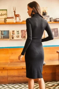 Olalook Women's Black Coated Belted Turtleneck Lycra Dress - Image 2