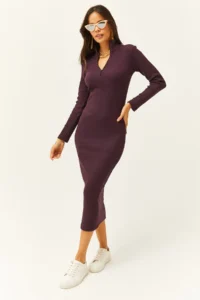 Olalook Women's Plum Zippered Stand Collar Long Lycra Dress