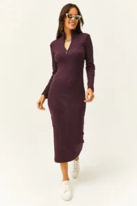 Olalook Women's Plum Zippered Stand Collar Long Lycra Dress - Image 2