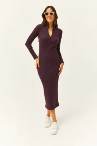 Olalook Women's Plum Zippered Stand Collar Long Lycra Dress - Image 3