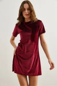 Olalook Women's Claret Red Crew Neck Basic Mini Velvet Dress - Image 4
