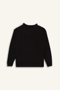 DeFacto Crew Neck Printed Sweatshirt Boy - Image 6