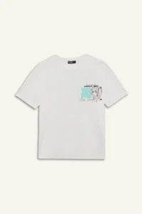 DeFacto Cool Oversize Wide Fit Crew Neck Printed Short Sleeve T-Shirt - Image 6