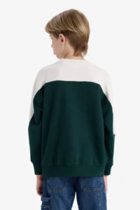 DeFacto Oversize Wide Fit Crew Neck Printed School Sweatshirt Boy - Image 6