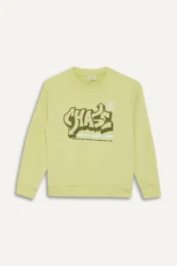 DeFacto Crew Neck Printed Sweatshirt Boy