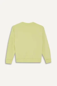DeFacto Crew Neck Printed Sweatshirt Boy - Image 3