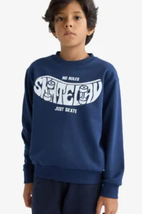 DeFacto Crew Neck Printed Sweatshirt Boy