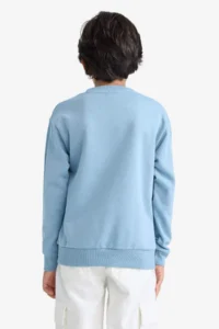 DeFacto Crew Neck Printed Sweatshirt Boy - Image 6