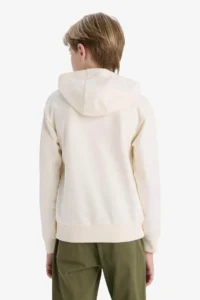 DeFacto Hooded Printed Sweatshirt Boy - Image 5