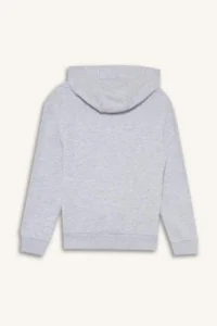 DeFacto Hooded Printed Sweatshirt Boy - Image 8