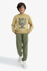 DeFacto Hooded Printed Sweatshirt Boy - Image 2